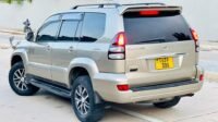 prado tx 120