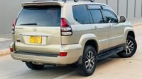 prado tx 120