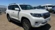 Toyota Land Cruiser Prado, New Model 2021, Petrol, Best Vehicle For Off-Road And Long Safari